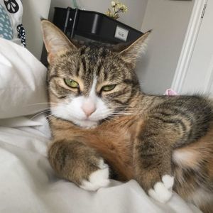 Meet your Posher, Kailee